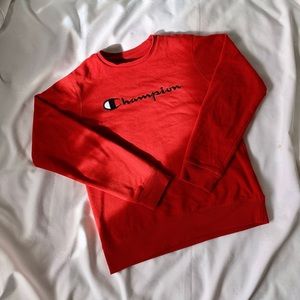 Kid’s champion sweater